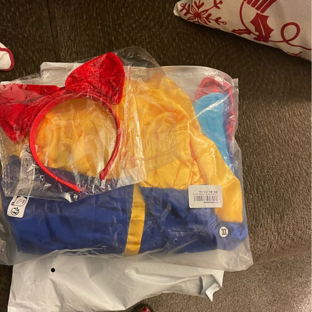 Snow White costume